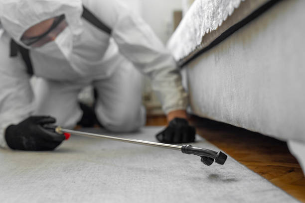 Professional Pest Control technician working in Freeport, IL