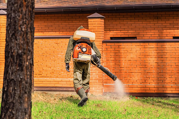 Trusted Mosquito Control service in Freeport, IL - Nex Pest Control